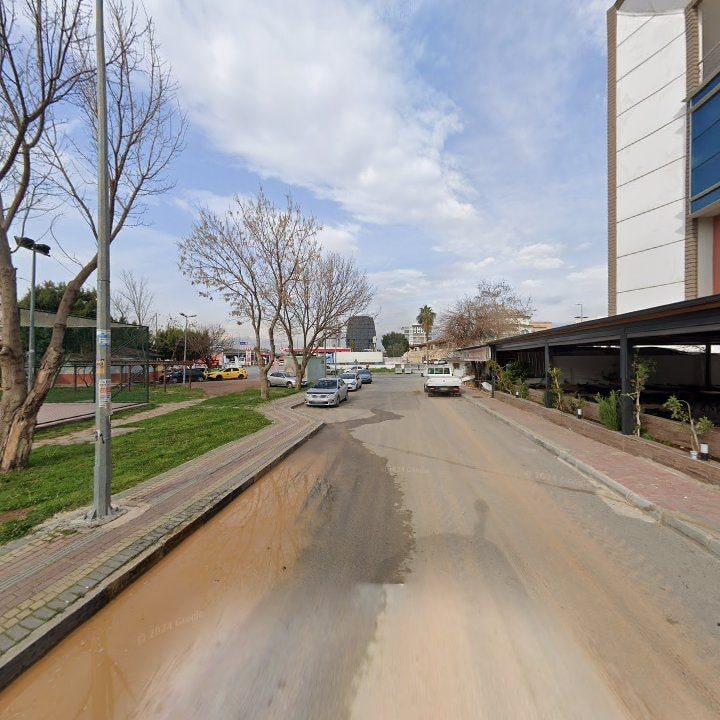 Fotoğraf 10