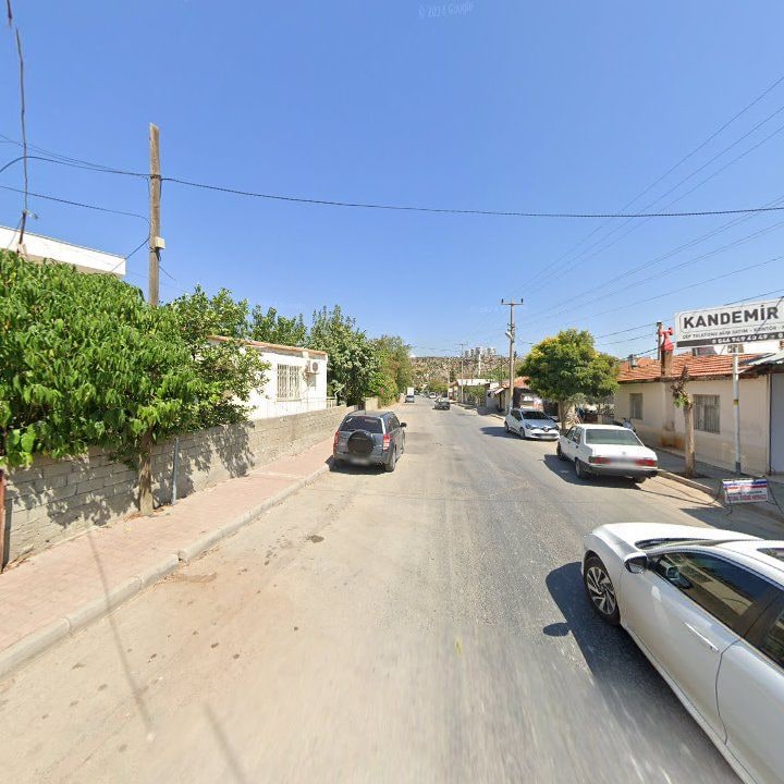 Fotoğraf 7