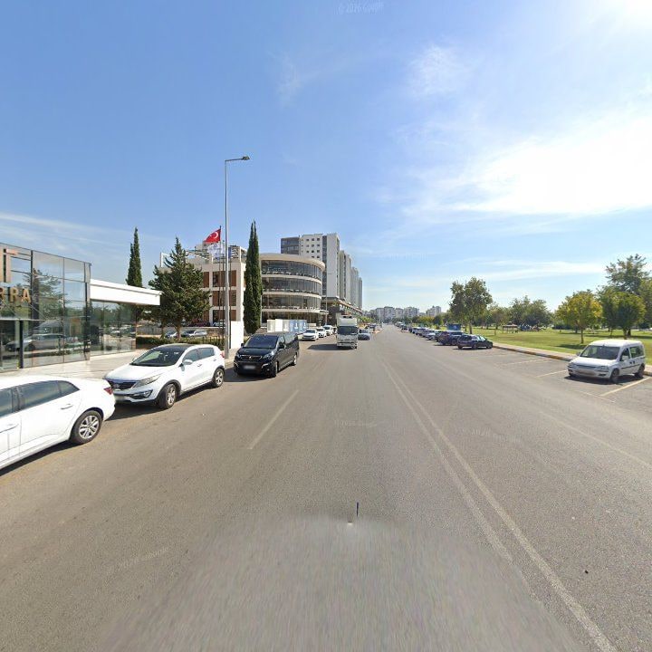 Fotoğraf 7