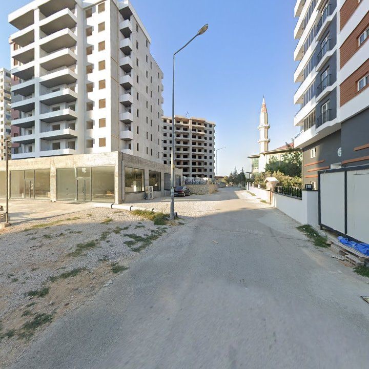 Fotoğraf 8