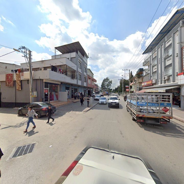 Fotoğraf 11
