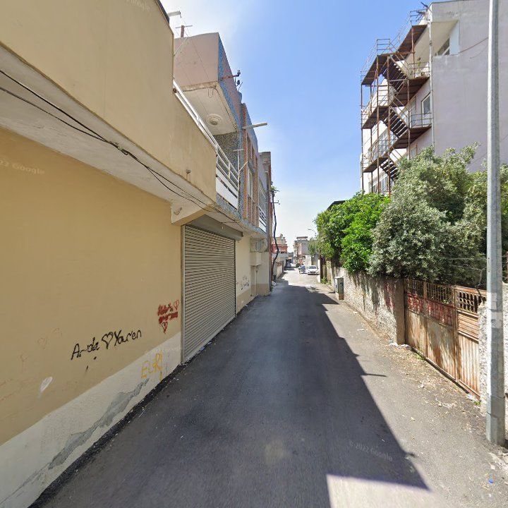 Fotoğraf 6