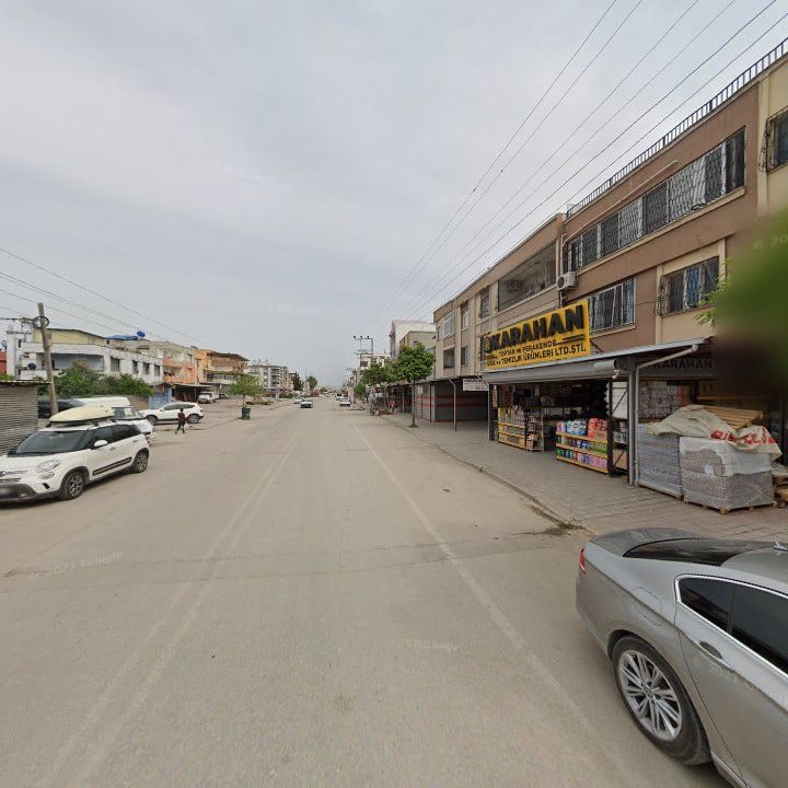 Fotoğraf 11