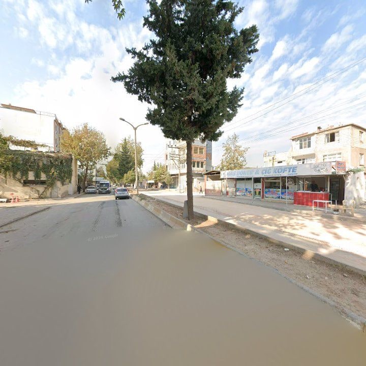 Fotoğraf 3