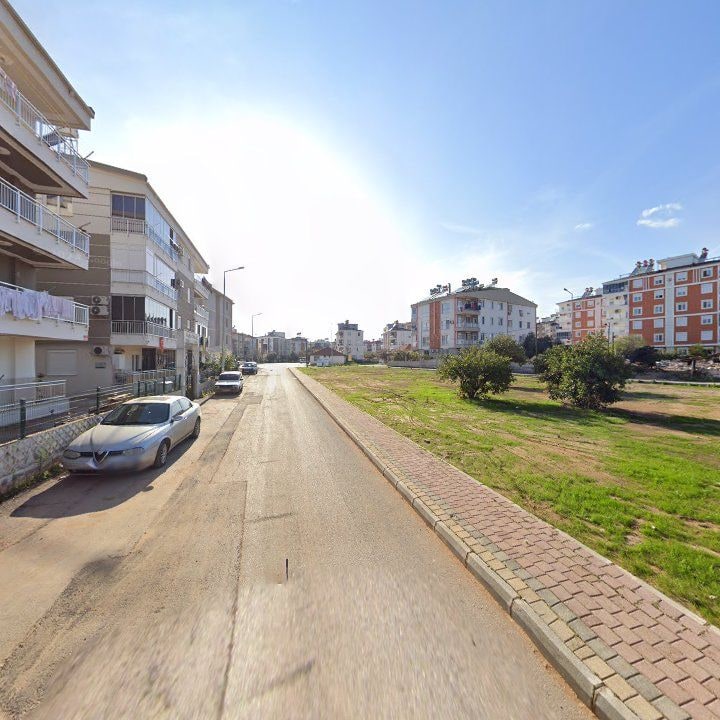 Fotoğraf 8