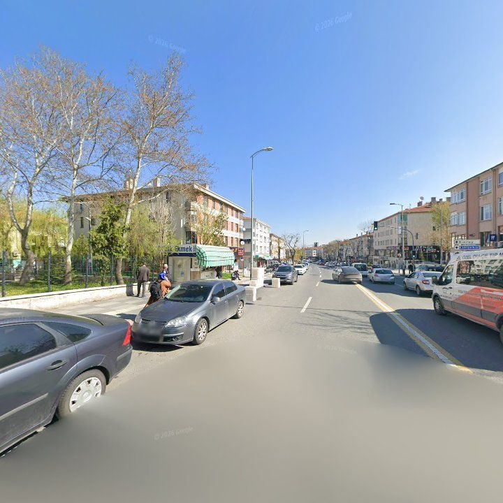 Fotoğraf 10
