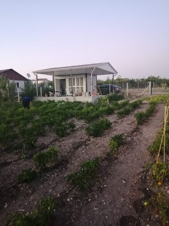 Kesiktaş Hobi Bahçeleri
