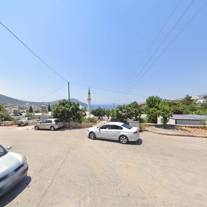 Fotoğraf 11
