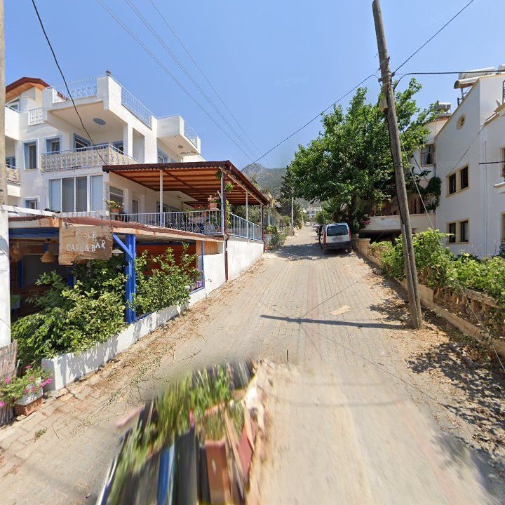 Fotoğraf 9