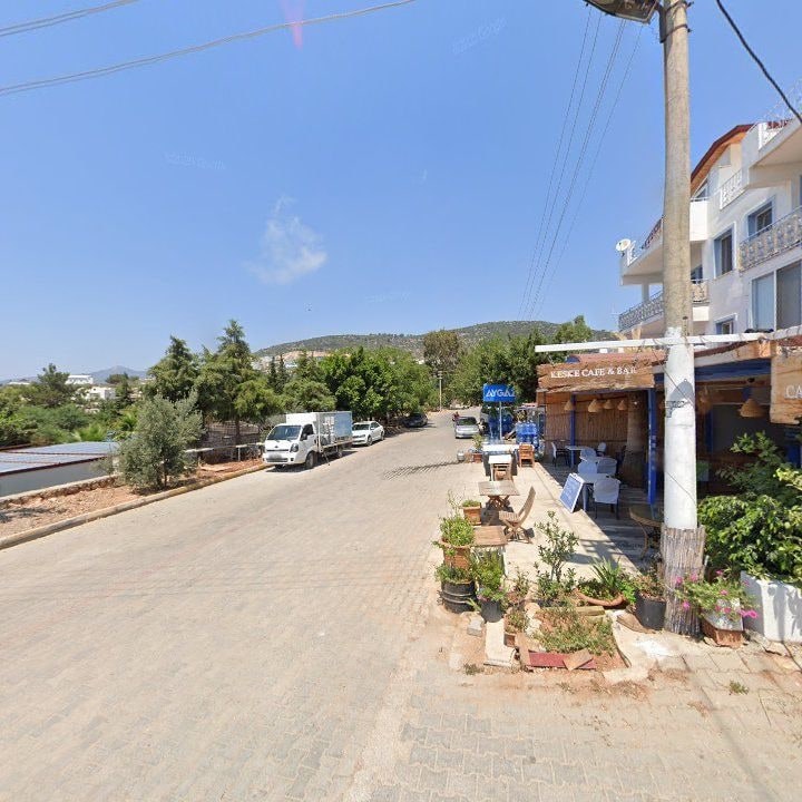 Fotoğraf 8