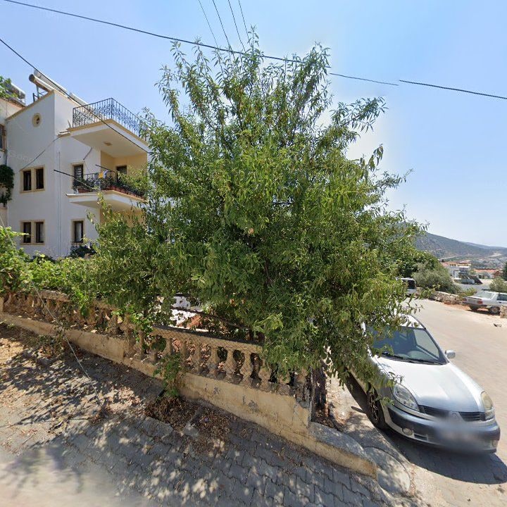 Fotoğraf 10