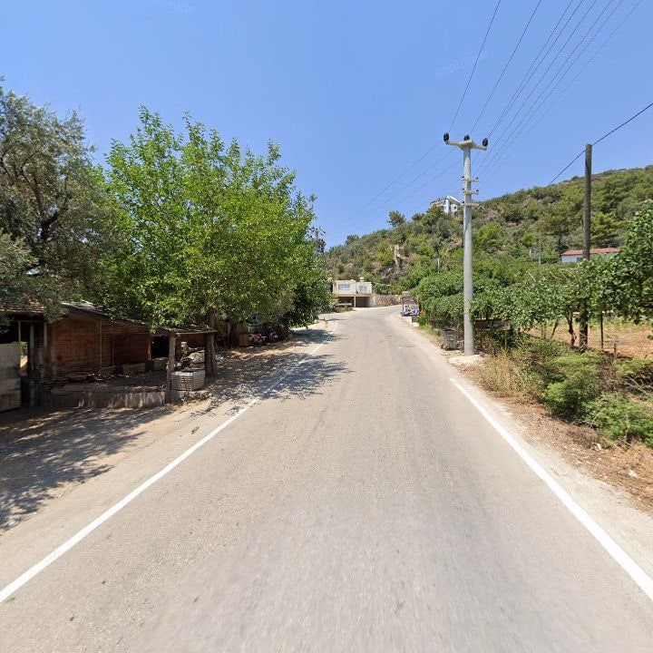 Fotoğraf 12