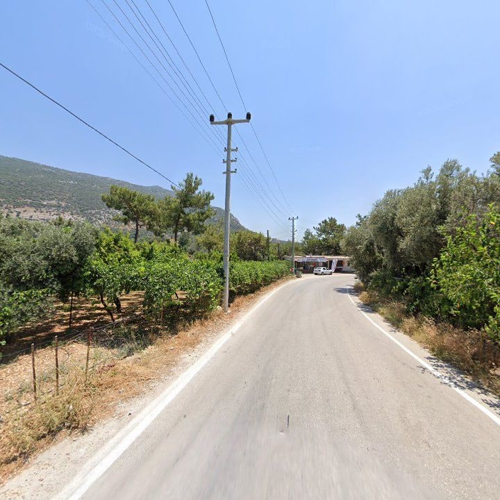 Fotoğraf 10