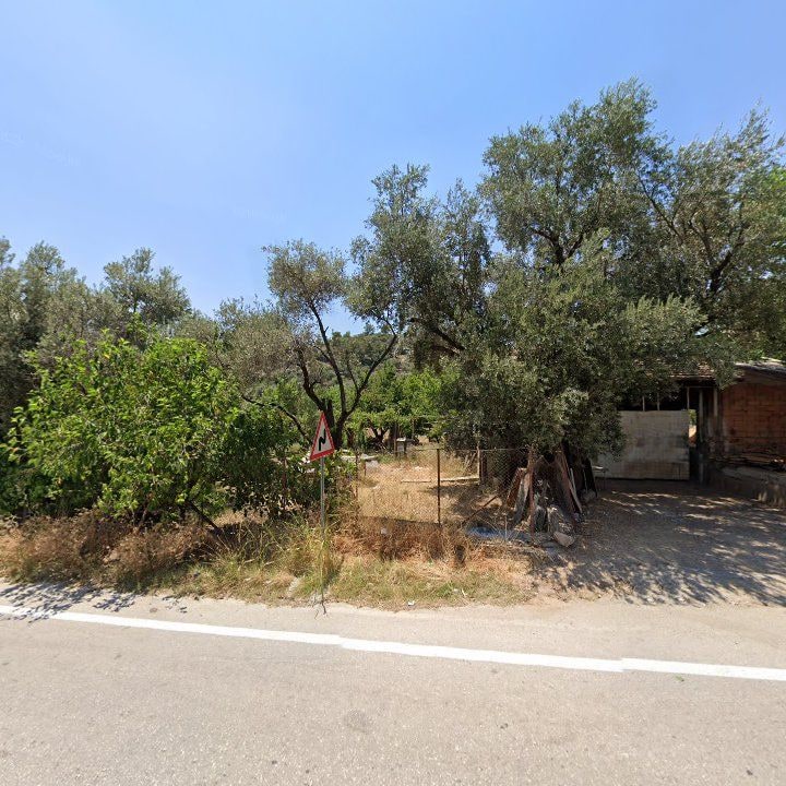 Fotoğraf 11