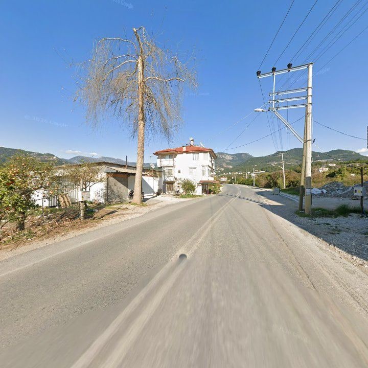 Fotoğraf 8