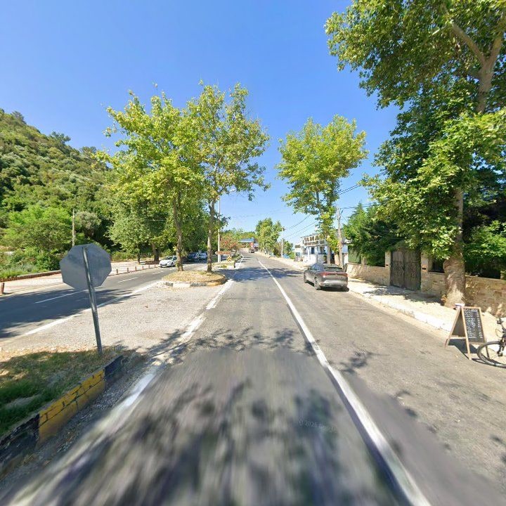 Fotoğraf 10