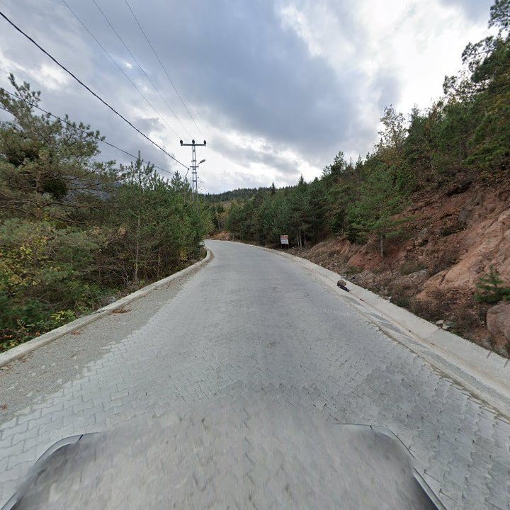 Fotoğraf 9