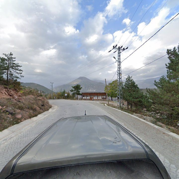 Fotoğraf 7