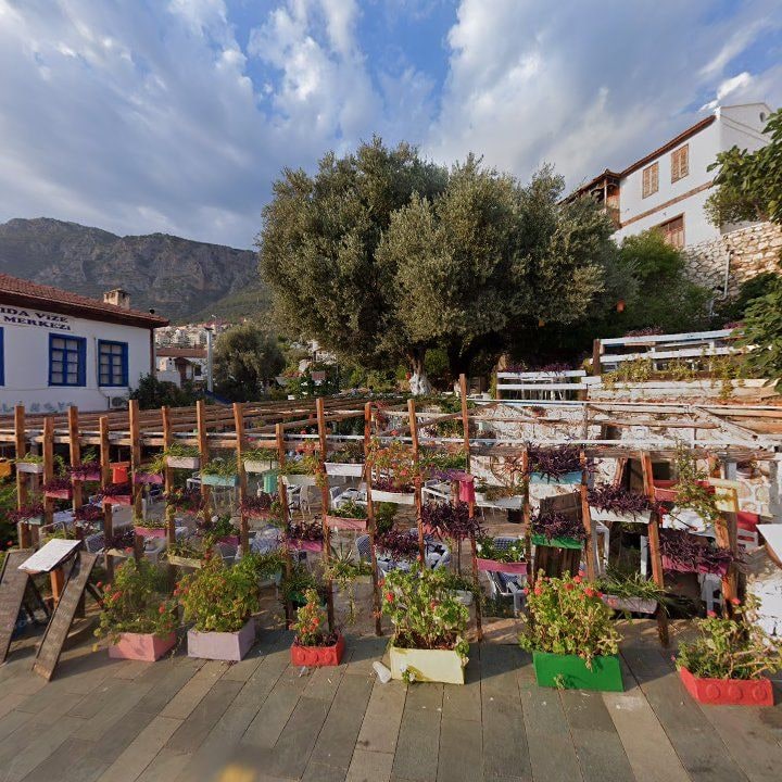Fotoğraf 12