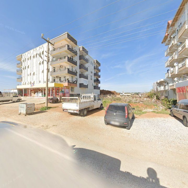 Fotoğraf 9