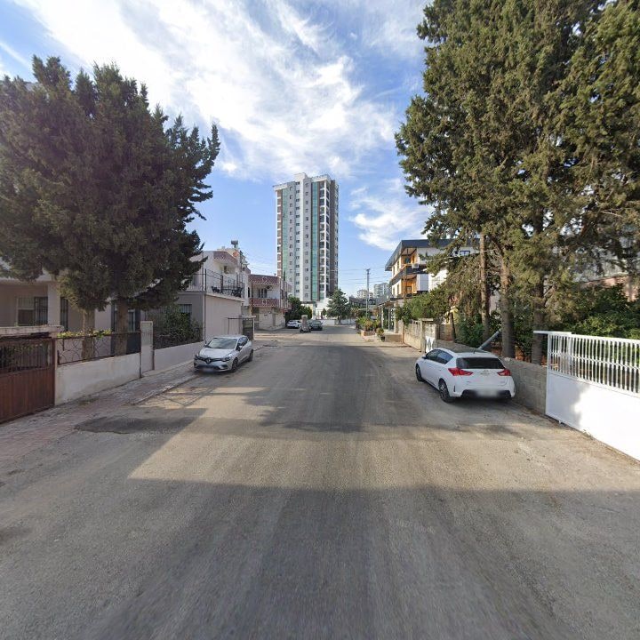 Fotoğraf 11