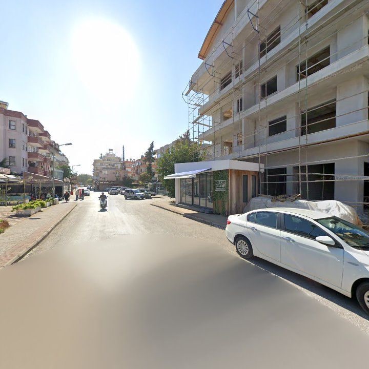 Fotoğraf 15