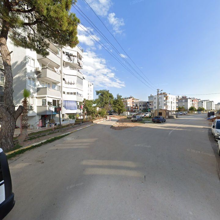 Fotoğraf 10