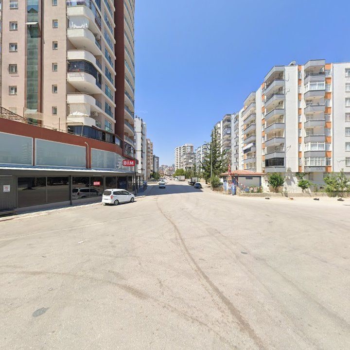 Fotoğraf 9