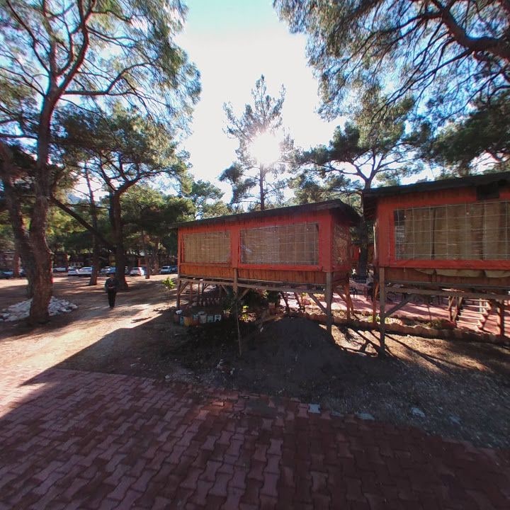 Fotoğraf 10