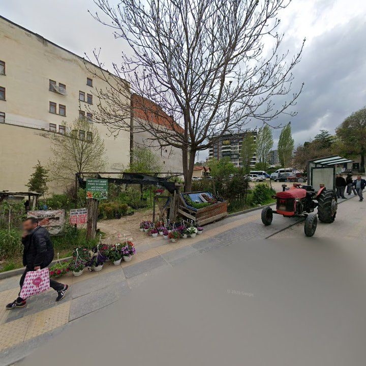 Fotoğraf 7