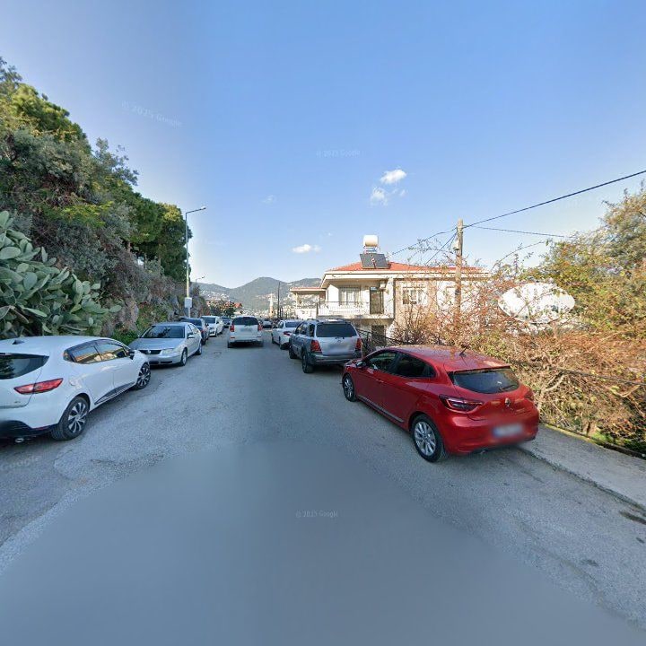Fotoğraf 11