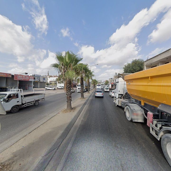 Fotoğraf 8