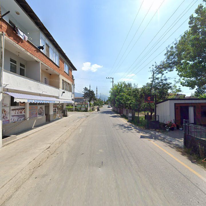 Fotoğraf 3