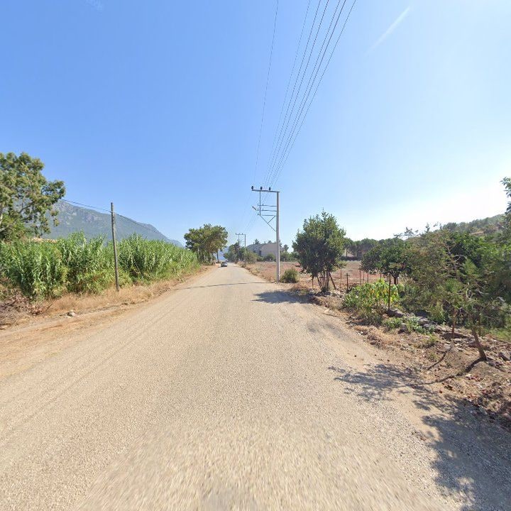 Fotoğraf 9