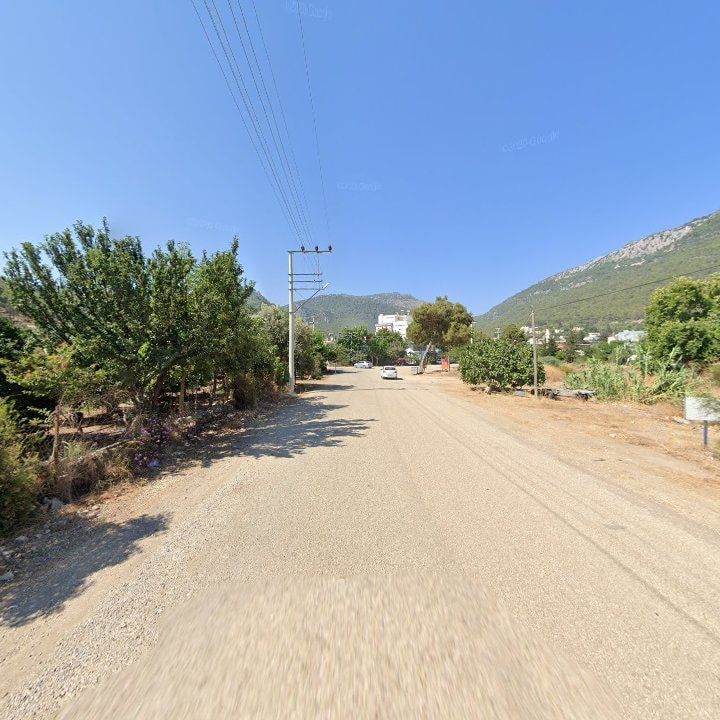 Fotoğraf 7