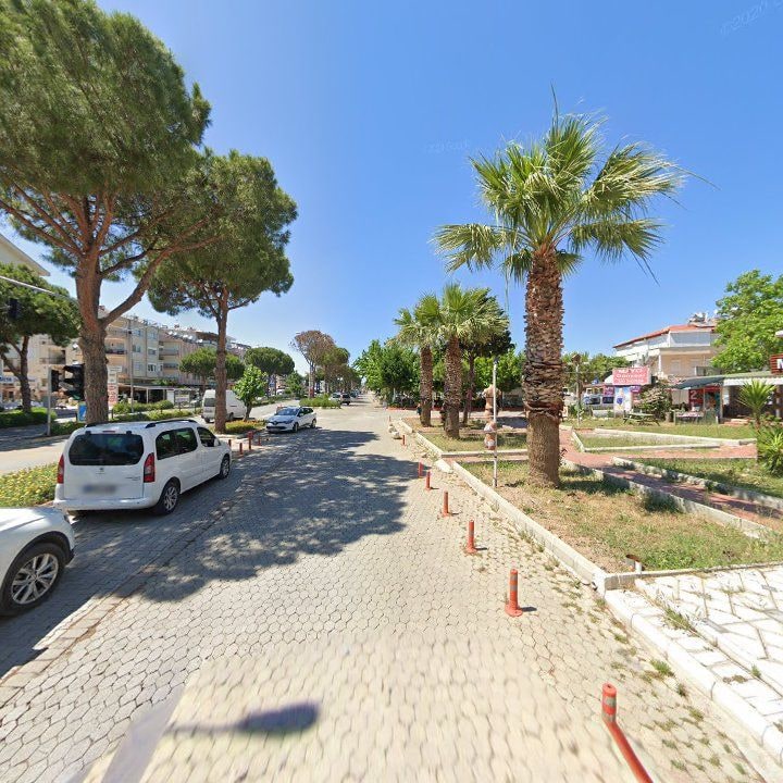 Fotoğraf 12
