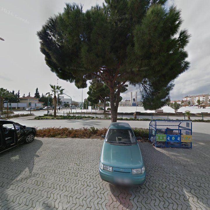 Fotoğraf 7