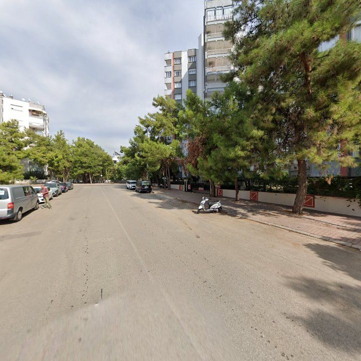 Fotoğraf 14