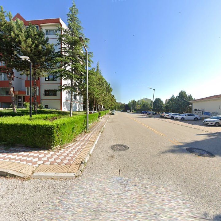 Fotoğraf 8