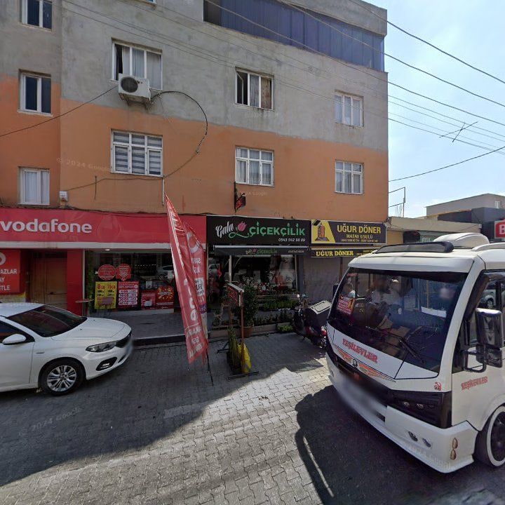 Fotoğraf 5