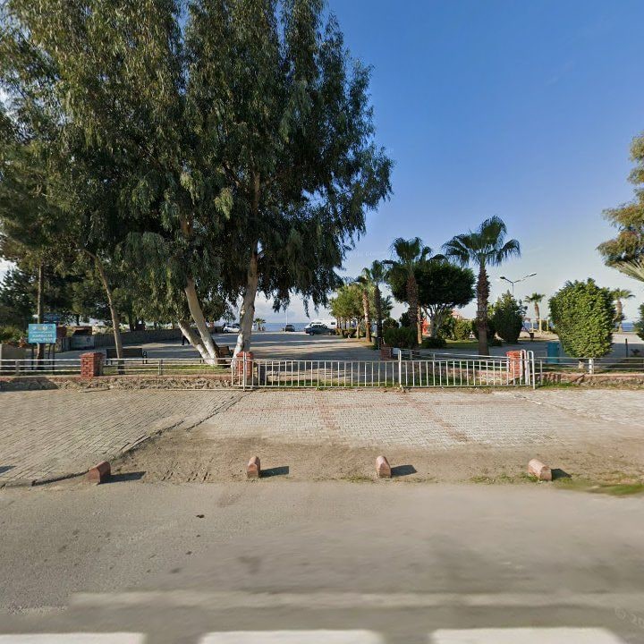 Fotoğraf 6