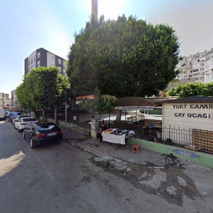 Fotoğraf 7
