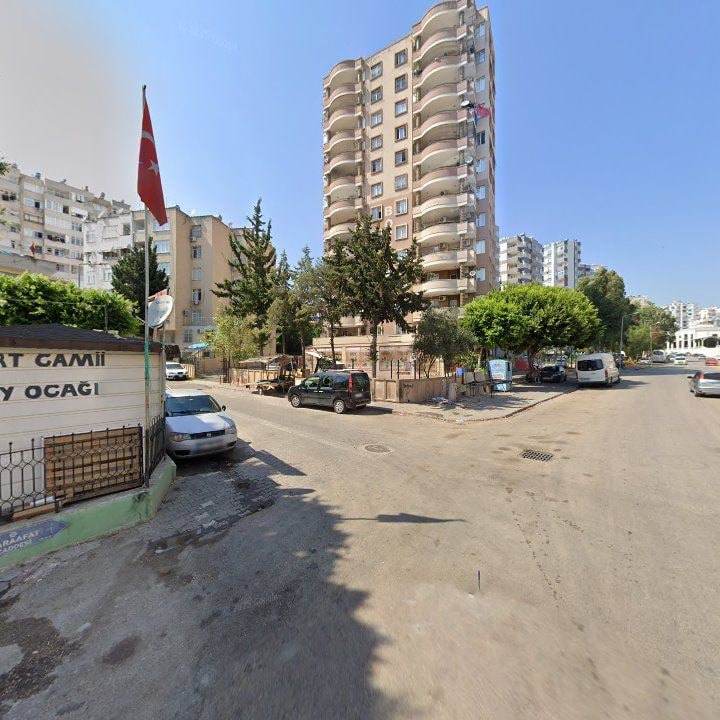 Fotoğraf 8