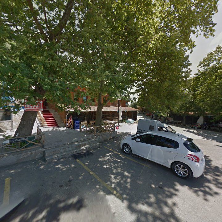 Fotoğraf 8