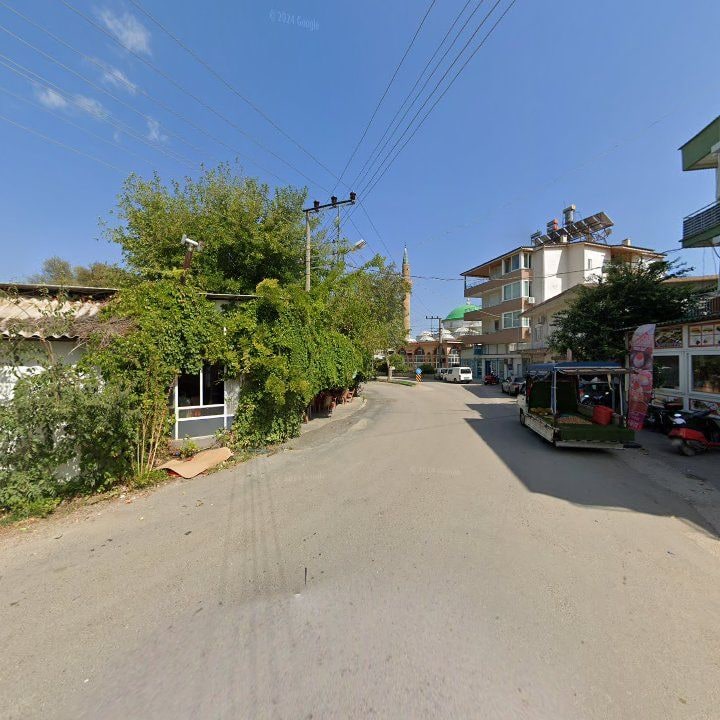 Fotoğraf 7