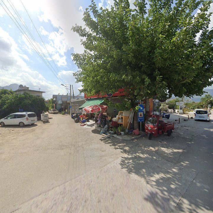 Fotoğraf 5