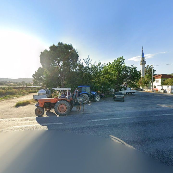 Fotoğraf 3