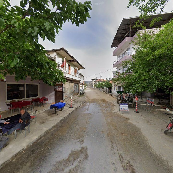Fotoğraf 6
