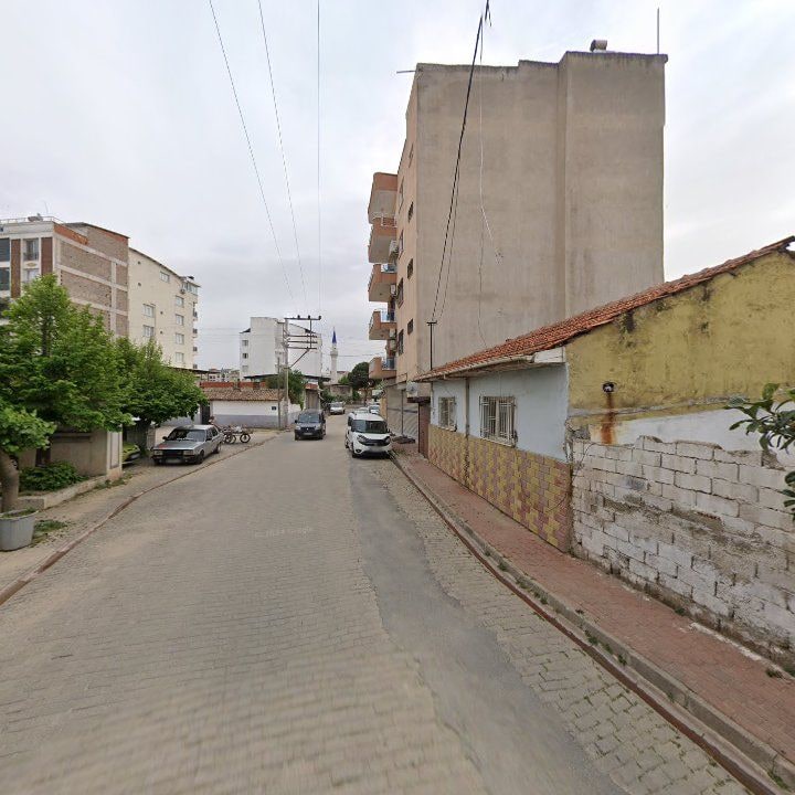 Fotoğraf 3