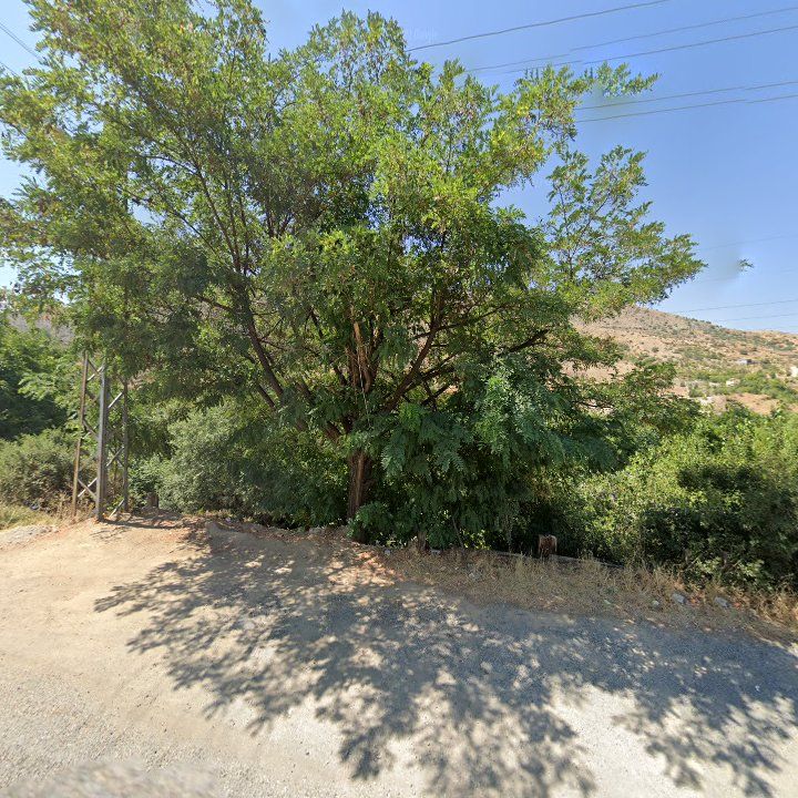 Fotoğraf 12